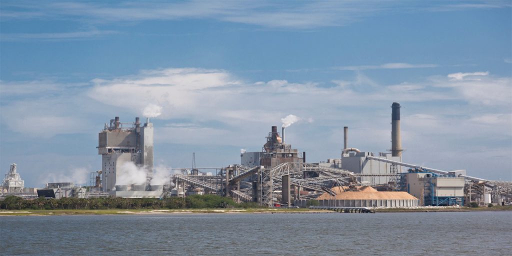 What is Effluent from Pulp and Paper Industry and how to effectively treat them?