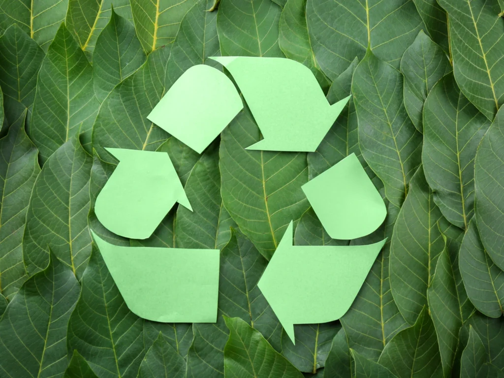 ALTERNATIVE FIBERS: THE FUTURE OF SUSTAINABLE PAPER & PACKAGING