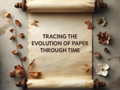 Tracing the Evolution of Paper Through Time | coniferous